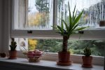 Is window condensation normal?