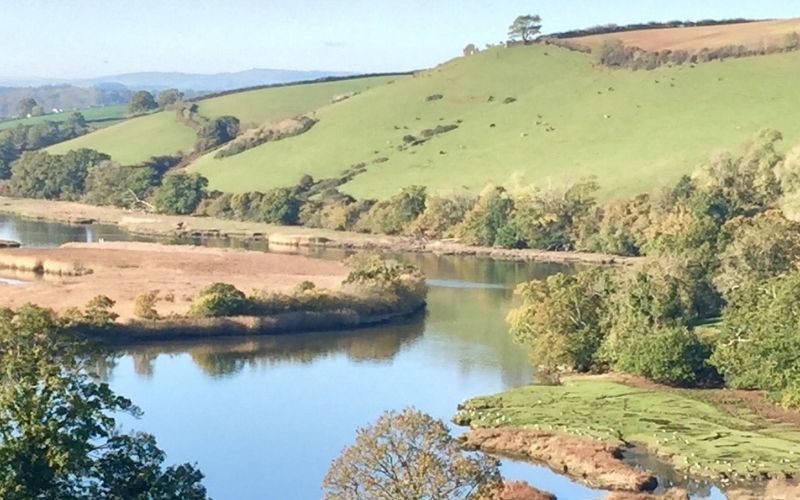 Our Favourite Devon Picnic Spots