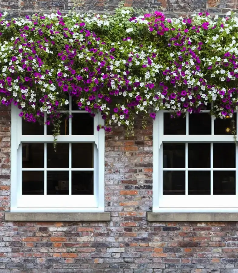 casement windows Chew Stoke