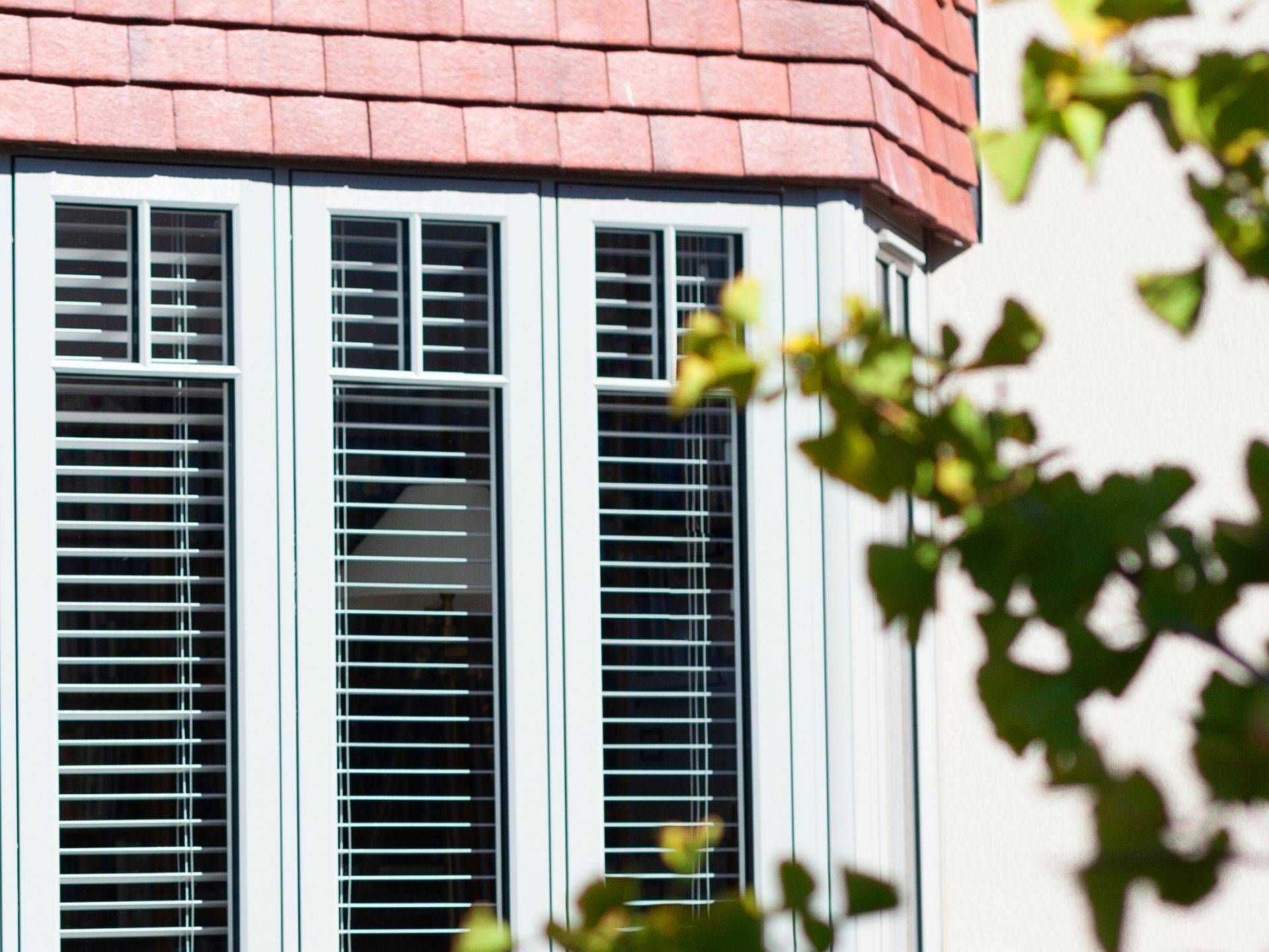 The Durability And Preservation Of Heritage Windows In Clevedon